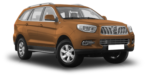 Foton Sauvana Коричневый